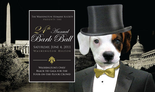 24th Annual Bark Ball Benefitting The Washington Humane Society Hits
