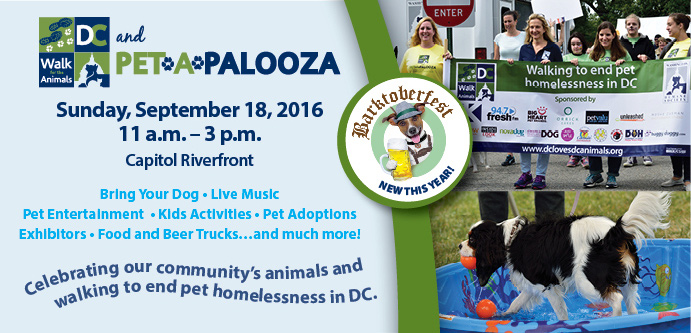 Celebrating animals and walking to end pet homelessness